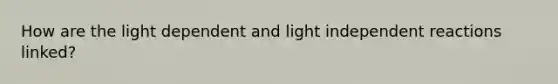 How are the light dependent and light independent reactions linked?