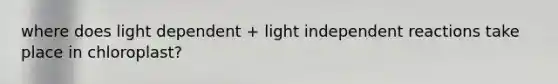 where does light dependent + light independent reactions take place in chloroplast?