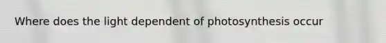 Where does the light dependent of photosynthesis occur