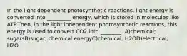 In the light dependent photosynthetic reactions, light energy is converted into _________ energy, which is stored in molecules like ATP.Then, in the light independent photosynthetic reactions, this energy is used to convert CO2 into ________. A)chemical; sugarsB)sugar; chemical energyC)chemical; H2OD)electrical; H2O