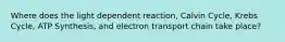 Where does the light dependent reaction, Calvin Cycle, Krebs Cycle, ATP Synthesis, and electron transport chain take place?