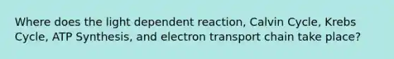 Where does the light dependent reaction, Calvin Cycle, Krebs Cycle, ATP Synthesis, and electron transport chain take place?