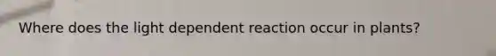 Where does the light dependent reaction occur in plants?