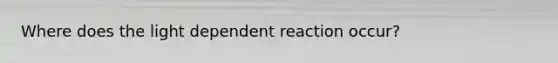 Where does the light dependent reaction occur?