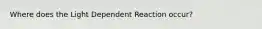 Where does the Light Dependent Reaction occur?
