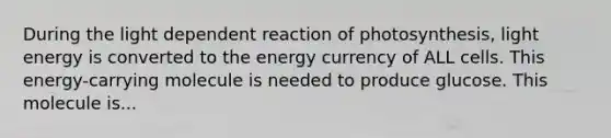 During the light dependent reaction of photosynthesis, light energy is converted to the energy currency of ALL cells. This energy-carrying molecule is needed to produce glucose. This molecule is...