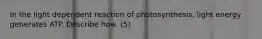 In the light dependent reaction of photosynthesis, light energy generates ATP. Describe how. (5)