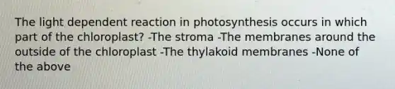 The light dependent reaction in photosynthesis occurs in which part of the chloroplast? -The stroma -The membranes around the outside of the chloroplast -The thylakoid membranes -None of the above