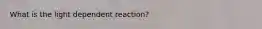 What is the light dependent reaction?