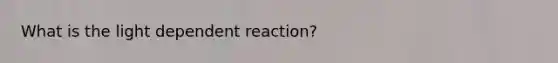 What is the light dependent reaction?