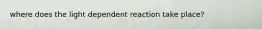 where does the light dependent reaction take place?