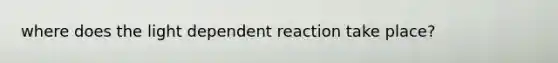 where does the light dependent reaction take place?