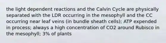 the light dependent reactions and the Calvin Cycle are physically separated with the LDR occurring in the mesophyll and the CC occurring near leaf veins (in bundle sheath cells); ATP expended in process; always a high concentration of CO2 around Rubisco in the mesophyll; 3% of plants