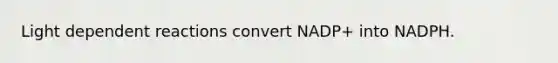 Light dependent reactions convert NADP+ into NADPH.