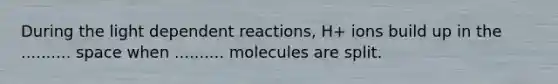 During the light dependent reactions, H+ ions build up in the .......... space when .......... molecules are split.