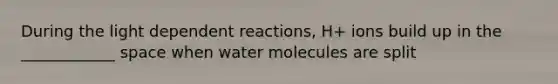 During the light dependent reactions, H+ ions build up in the ____________ space when water molecules are split