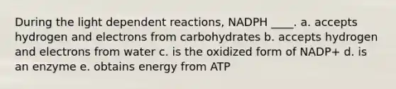 During the light dependent reactions, NADPH ____.​ a. ​accepts hydrogen and electrons from carbohydrates b. accepts hydrogen and electrons from water​ c. ​is the oxidized form of NADP+ d. ​is an enzyme e. obtains energy from ATP​