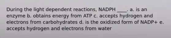 During the light dependent reactions, NADPH ____.​ a. ​is an enzyme b. obtains energy from ATP​ c. accepts hydrogen and electrons from carbohydrates d. is the oxidized form of NADP+ e. accepts hydrogen and electrons from water​