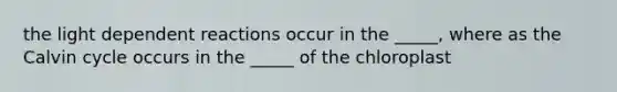 the light dependent reactions occur in the _____, where as the Calvin cycle occurs in the _____ of the chloroplast