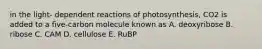 in the light- dependent reactions of photosynthesis, CO2 is added to a five-carbon molecule known as A. deoxyribose B. ribose C. CAM D. cellulose E. RuBP