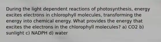 During the light dependent reactions of photosynthesis, energy excites electrons in chlorophyll molecules, transforming the energy into chemical energy. What provides the energy that excites the electrons in the chlorophyll molecules? a) CO2 b) sunlight c) NADPH d) water