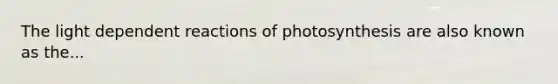 The light dependent reactions of photosynthesis are also known as the...