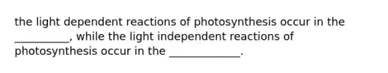 the light dependent reactions of photosynthesis occur in the __________, while the light independent reactions of photosynthesis occur in the _____________.