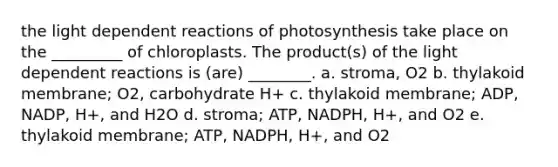 the light dependent reactions of photosynthesis take place on the _________ of chloroplasts. The product(s) of the light dependent reactions is (are) ________. a. stroma, O2 b. thylakoid membrane; O2, carbohydrate H+ c. thylakoid membrane; ADP, NADP, H+, and H2O d. stroma; ATP, NADPH, H+, and O2 e. thylakoid membrane; ATP, NADPH, H+, and O2