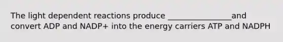 The light dependent reactions produce ________________and convert ADP and NADP+ into the energy carriers ATP and NADPH