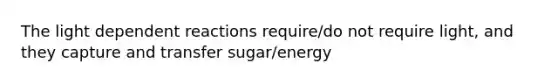 The light dependent reactions require/do not require light, and they capture and transfer sugar/energy