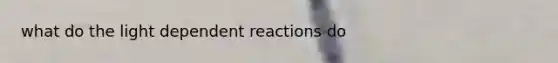 what do the light dependent reactions do