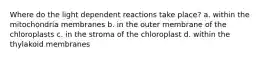 Where do the light dependent reactions take place? a. within the mitochondria membranes b. in the outer membrane of the chloroplasts c. in the stroma of the chloroplast d. within the thylakoid membranes