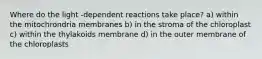 Where do the light -dependent reactions take place? a) within the mitochrondria membranes b) in the stroma of the chloroplast c) within the thylakoids membrane d) in the outer membrane of the chloroplasts