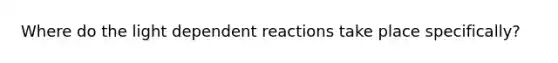 Where do the light dependent reactions take place specifically?