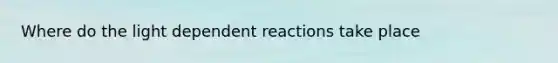 Where do the light dependent reactions take place