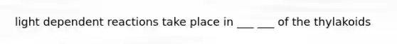 light dependent reactions take place in ___ ___ of the thylakoids