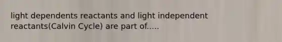 light dependents reactants and light independent reactants(Calvin Cycle) are part of.....