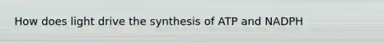 How does light drive the synthesis of ATP and NADPH