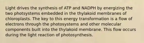 Light drives the synthesis of ATP and NADPH by energizing the two photsystems embedded in the thylakoid membranes of chloroplasts. The key to this energy transformation is a flow of electrons through the photosystems and other molecular components built into the thylakoid membrane. This flow occurs during the light reaction of photosynthesis.