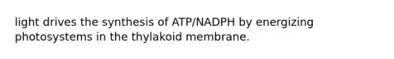 light drives the synthesis of ATP/NADPH by energizing photosystems in the thylakoid membrane.