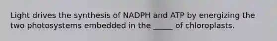 Light drives the synthesis of NADPH and ATP by energizing the two photosystems embedded in the _____ of chloroplasts.