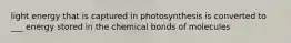 light energy that is captured in photosynthesis is converted to ___ energy stored in the chemical bonds of molecules