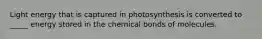 Light energy that is captured in photosynthesis is converted to _____ energy stored in the chemical bonds of molecules.