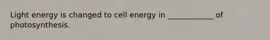 Light energy is changed to cell energy in ____________ of photosynthesis.