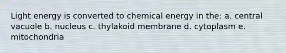 Light energy is converted to chemical energy in the: a. central vacuole b. nucleus c. thylakoid membrane d. cytoplasm e. mitochondria