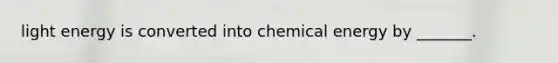 light energy is converted into chemical energy by _______.