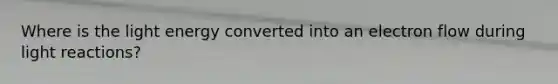 Where is the light energy converted into an electron flow during light reactions?