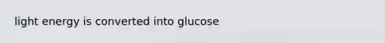 light energy is converted into glucose