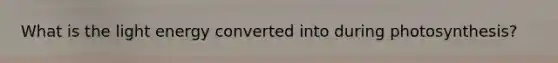 What is the light energy converted into during photosynthesis?