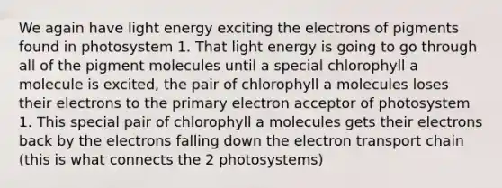 We again have light energy exciting the electrons of pigments found in photosystem 1. That light energy is going to go through all of the pigment molecules until a special chlorophyll a molecule is excited, the pair of chlorophyll a molecules loses their electrons to the primary electron acceptor of photosystem 1. This special pair of chlorophyll a molecules gets their electrons back by the electrons falling down the electron transport chain (this is what connects the 2 photosystems)